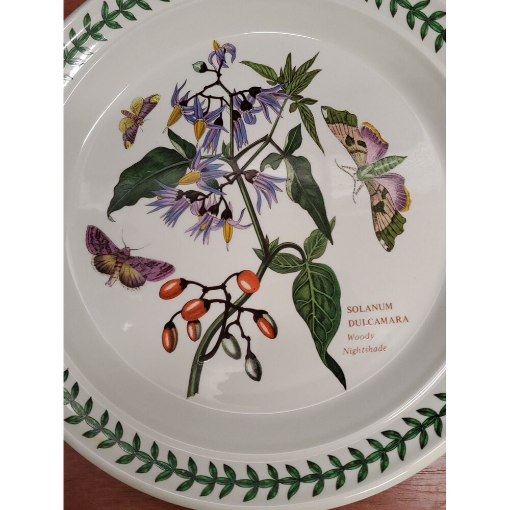 Vintage The Botanic Garden Woody Nightshade 1972 Salad Plate